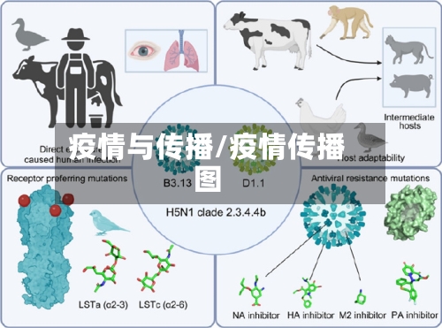 疫情与传播/疫情传播图-第2张图片