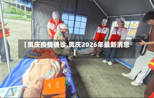 【凤庆疫情确诊,凤庆2026年最新消息】-第2张图片