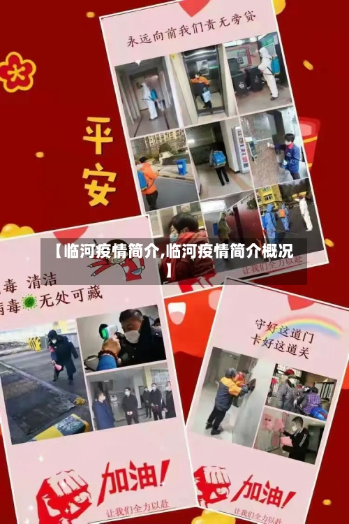【临河疫情简介,临河疫情简介概况】