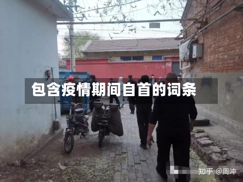 包含疫情期间自首的词条