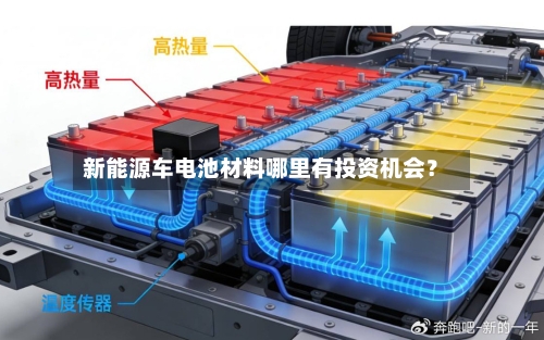 新能源车电池材料哪里有投资机会?-第2张图片