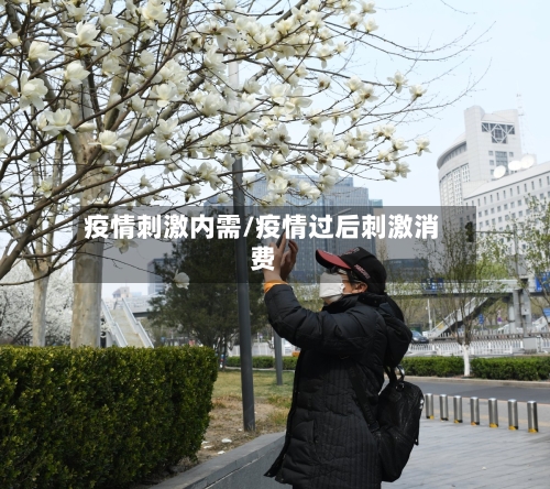 疫情刺激内需/疫情过后刺激消费-第2张图片