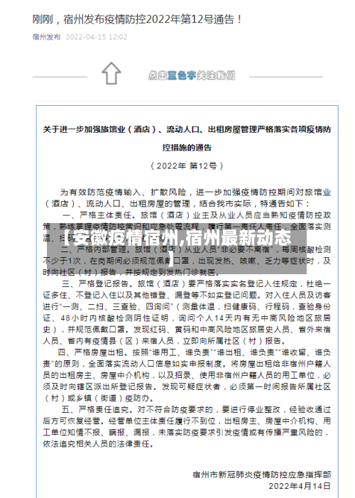 【安徽疫情宿州,宿州最新动态】-第2张图片