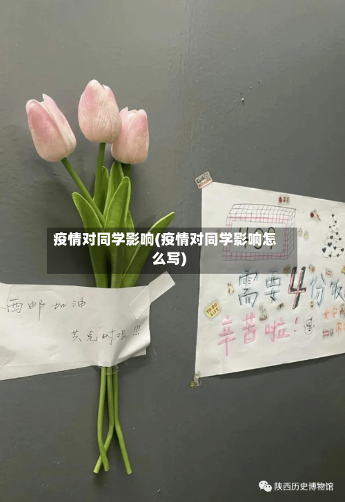 疫情对同学影响(疫情对同学影响怎么写)