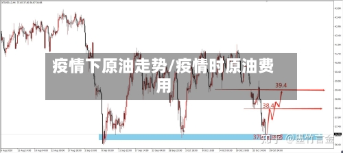 疫情下原油走势/疫情时原油费用-第3张图片