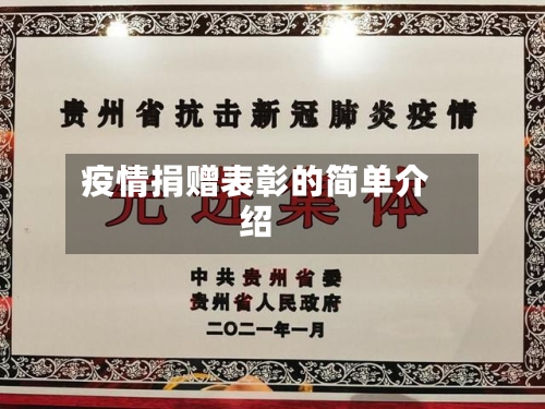疫情捐赠表彰的简单介绍-第3张图片