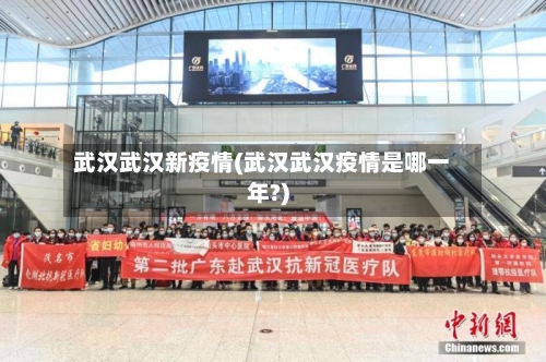 武汉武汉新疫情(武汉武汉疫情是哪一年?)-第2张图片