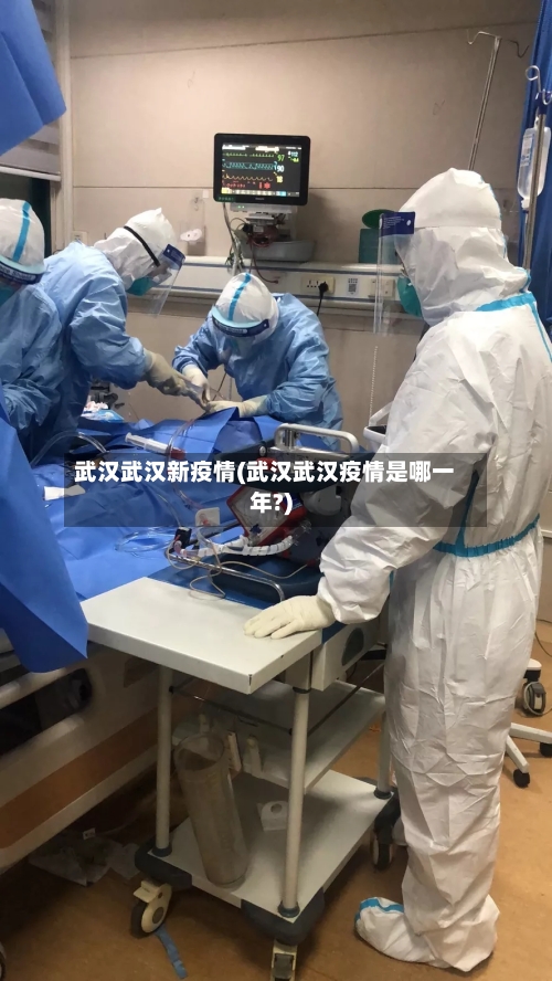 武汉武汉新疫情(武汉武汉疫情是哪一年?)