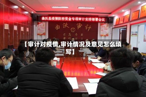 【审计对疫情,审计情况及意见怎么填写】