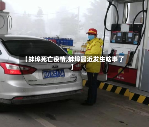 【蚌埠死亡疫情,蚌埠最近发生啥事了】-第2张图片
