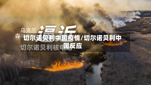 切尔诺贝利中国疫情/切尔诺贝利中国反应-第2张图片