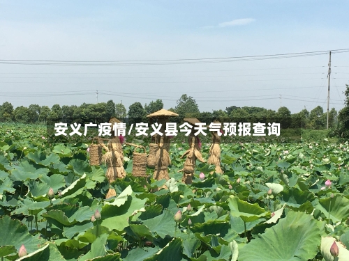 安义广疫情/安义县今天气预报查询