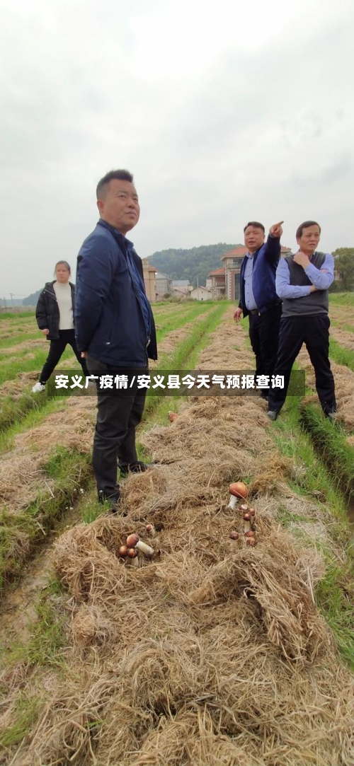 安义广疫情/安义县今天气预报查询-第2张图片