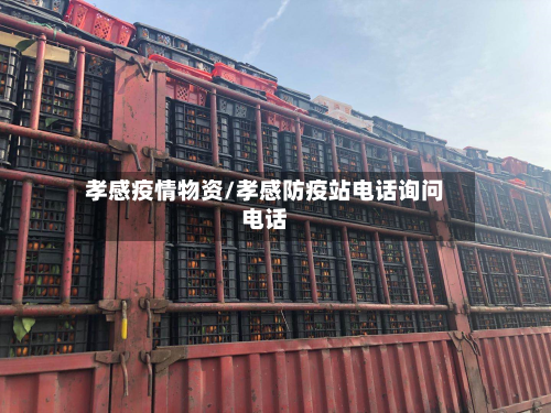 孝感疫情物资/孝感防疫站电话询问电话
