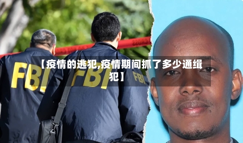 【疫情的逃犯,疫情期间抓了多少通缉犯】