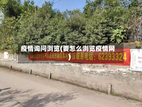 疫情询问浏览(要怎么浏览疫情网)-第2张图片