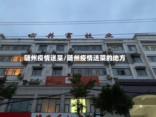 随州疫情送菜/随州疫情送菜的地方