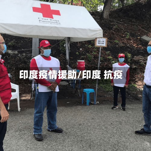 印度疫情援助/印度 抗疫