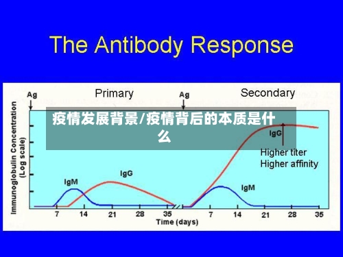 疫情发展背景/疫情背后的本质是什么
