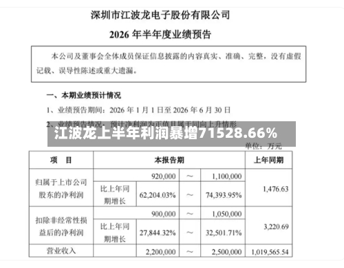 江波龙上半年利润暴增71528.66%