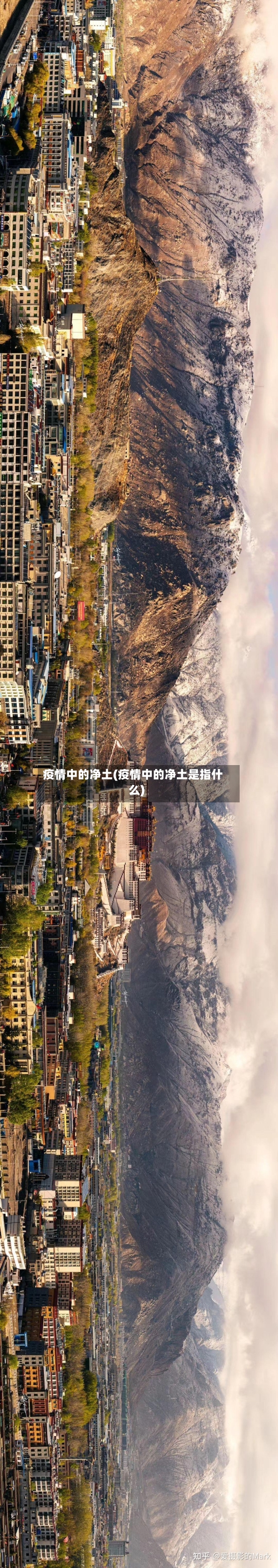 疫情中的净土(疫情中的净土是指什么)-第2张图片