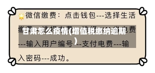 甘肃怎么疫情(增值税缴纳逾期)-第2张图片