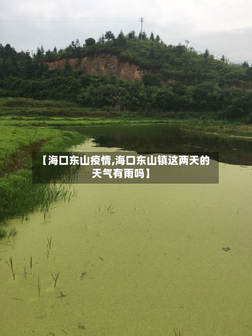 【海口东山疫情,海口东山镇这两天的天气有雨吗】