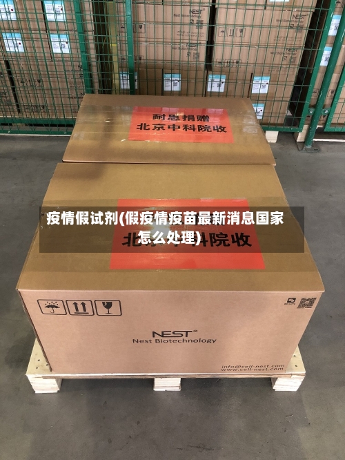 疫情假试剂(假疫情疫苗最新消息国家怎么处理)-第2张图片