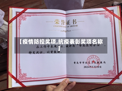 【疫情防控奖项,抗疫表彰奖项名称】-第2张图片
