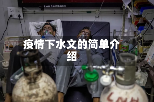 疫情下水文的简单介绍
