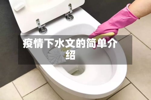 疫情下水文的简单介绍-第3张图片
