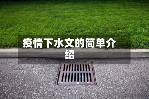 疫情下水文的简单介绍-第2张图片