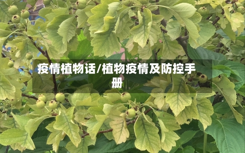 疫情植物话/植物疫情及防控手册-第3张图片