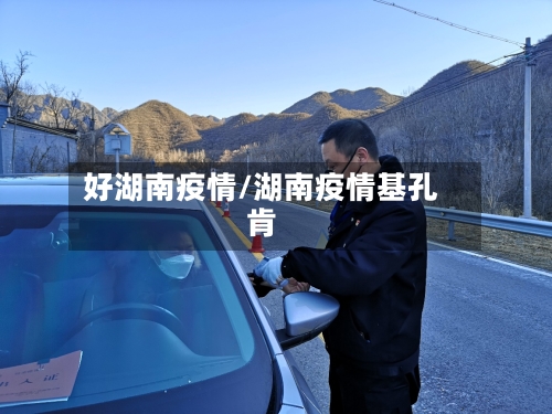 好湖南疫情/湖南疫情基孔肯
