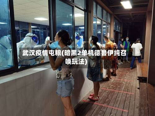 武汉疫情屯粮(暗黑2单机德鲁伊纯召唤玩法)