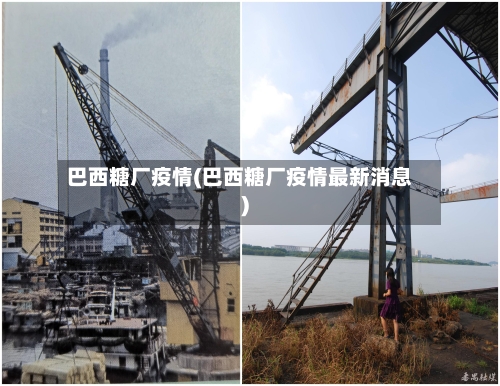 巴西糖厂疫情(巴西糖厂疫情最新消息)