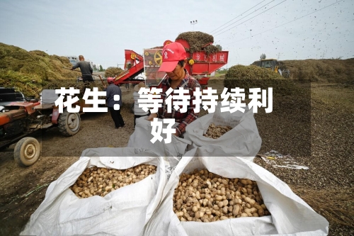 花生：等待持续利好