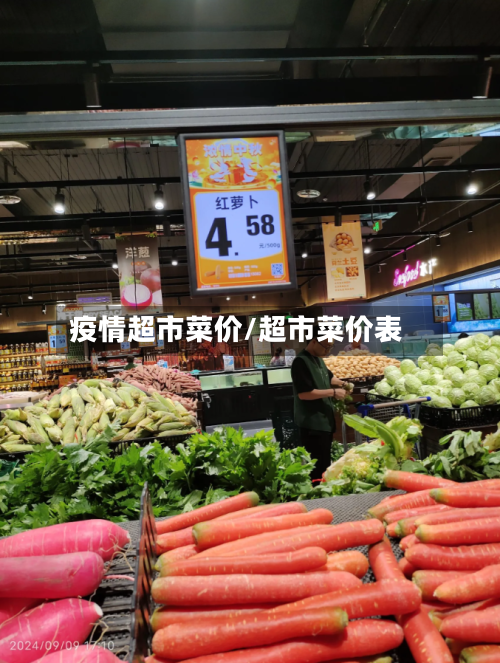 疫情超市菜价/超市菜价表-第2张图片
