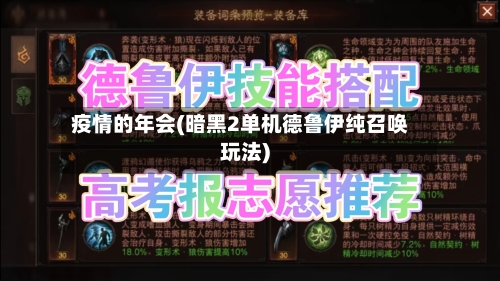 疫情的年会(暗黑2单机德鲁伊纯召唤玩法)-第2张图片