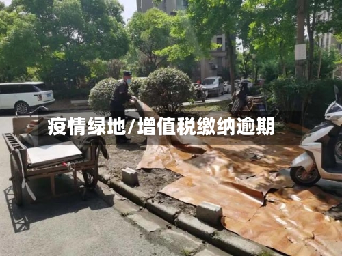 疫情绿地/增值税缴纳逾期