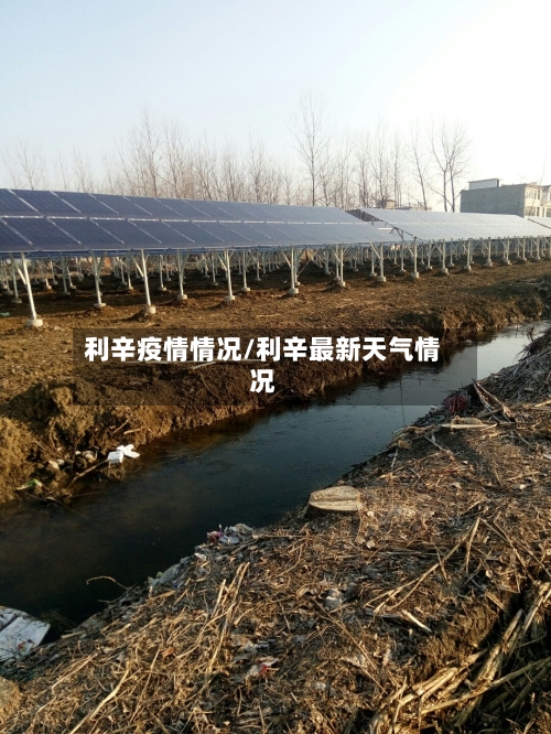 利辛疫情情况/利辛最新天气情况