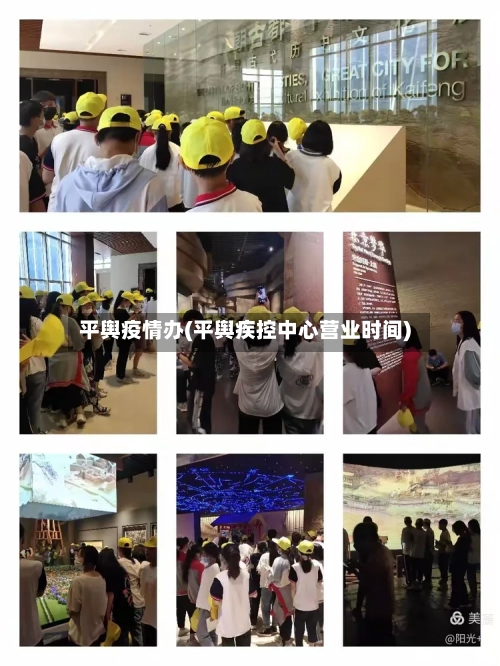 平舆疫情办(平舆疾控中心营业时间)