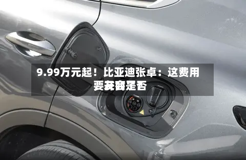 9.99万元起！比亚迪张卓：这费用	，友商是否要开会了？-第2张图片