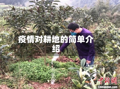 疫情对耕地的简单介绍-第3张图片