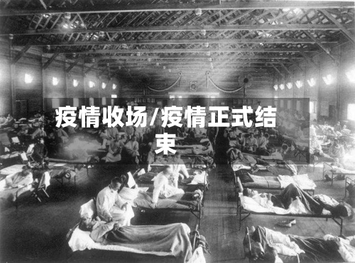 疫情收场/疫情正式结束-第2张图片