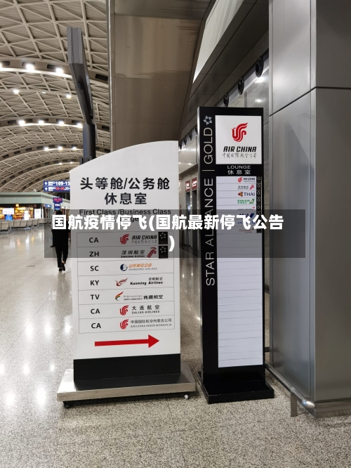 国航疫情停飞(国航最新停飞公告)