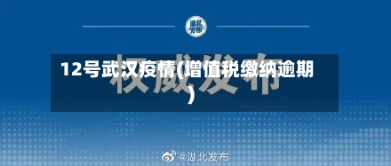 12号武汉疫情(增值税缴纳逾期)