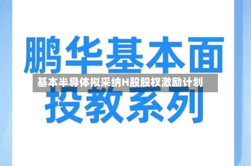基本半导体拟采纳H股股权激励计划-第3张图片