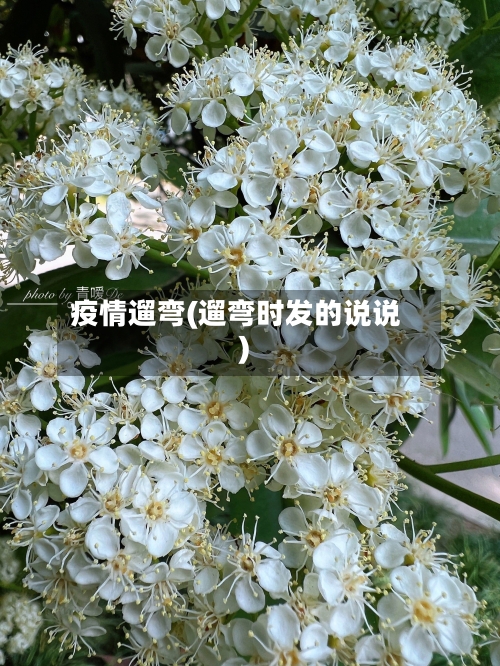 疫情遛弯(遛弯时发的说说)-第3张图片