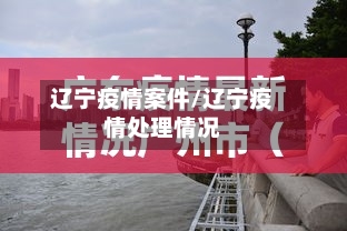 辽宁疫情案件/辽宁疫情处理情况